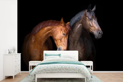 Produktbild von MuchoWow® Fototapete für Wohnzimmer oder Schlafzimmer Wandtapete Vinyl Motivtapete Pferde - Tiere - Porträt - Braun - 600x400 cm - Kindertapete - Vinyltapeten