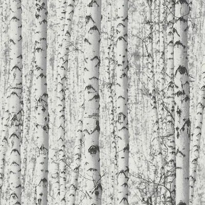 Image de Profhome 387191-GU Papier peint nature mat blanc gris 5,33 m2