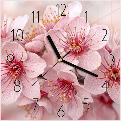 Produktbild von Wanduhr aus Glas mit Motiv Kirschblütenzweig- 30 x 30 cm - inkl. Aufhängesystem