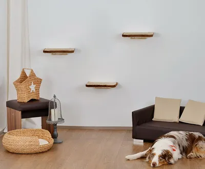 Obrázok produktu pre animal-design Mačacie lezecké steny 3-dielne WALL Mačacie nábytok priestorovo úsporné stabilné mačacie schody na stenu z plyšu béžová/hnedá
