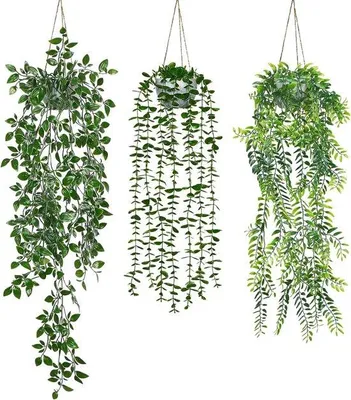 Productafbeelding van Kunststof eucalyptusbekleding met plantenpotten - 3 stuks - Geschikt voor binnen- en buitengebruik - Tuinaccessoire