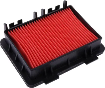 Immagine prodotto di Filtro aria HIFLOFILTRO HFA6303