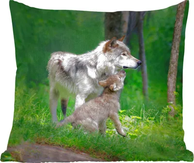 Produktbild von MuchoWow® Zierkissen Sofakissen Wohnzimmer Dekokissen 45x45 cm Wolf - Baby - Wald - Schlafpolster - Polster für das Sofa