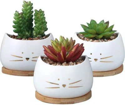 Productafbeelding van Unyqoos® Set van 3 witte keramische bloempotten met kattenmotief – kleine plantenpotten (3 verschillende maten) met afvoergat + 3 ronde onderzetters, geschikt voor vensterbanken en bureaus