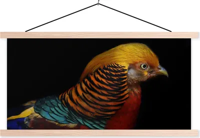 Produktbild von MuchoWow® Textilposter Vogel - Federn - Schwarz - Porträt 120x60 cm mit holzfarbenen Rahmen - Klemmleiste