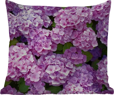 Produktbild von MuchoWow® Outdoor Kissen - Blumen - Hortensie - Strauch - Rosa - Blütenblätter - 40x40 cm - Wetterfest - Lounge Kissen - Kopfkissen - Interieur - Polster mit Bild