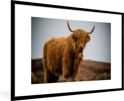 Produktbild von MuchoWow® Gerahmtes Poster Schottischer Highlander - Düne - Gras 90x60 cm - Poster mit Schwarzem Bilderrahmen Wandposter Rahmen Foto Bilder - Wanddekoration - Fotos