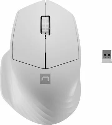 Image de Souris sans fil NATEC SISKIN 2 BT 5.0 + 2,4 GHz