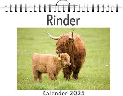 Immagine prodotto di Rinder - (Calendario da parete 2025, calendario in formato DIN A4 orizzontale, calendario mensile in formato orizzontale con calendario giornaliero, il regalo perfetto)