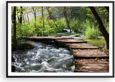 Produktbild von Gerahmtes Poster - Schwarzer Rahmen - Park natur grün bäume - 100x70 cm - Wand Bild - Wanddeko - Wandbilder - Wandposter - Bilderrahmen - Bilder - Kunstdruck - Wandbild - P2BAA100x70-0356