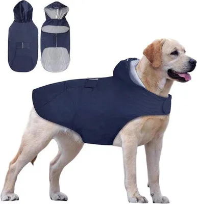 Image de Manteau imperméable pour chien, bleu marine, réfléchissant