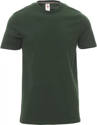 Produktbild von PAYPER T-Shirt SUNRISE – Kurzarm Herren-Shirt aus Baumwolle mit Rundhalsausschnitt, seitlichen Nähten und angenehmer Passform grün 3XL