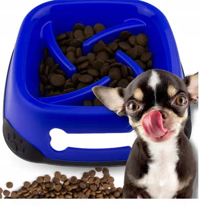 Produktbild von SLOW BOWL Hundefressnapf für Katzen