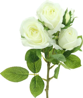 Produktbild von Elegante Deko-Rose für romantische Tischdekorationen