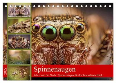 Produktbild von Spinnenaugen (Tischkalender 2027 DIN A5 quer), CALVENDO Monatskalender