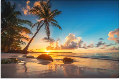 Produktbild von MuchoWow® Poster Strand - Meer - Palme - Sonnenuntergang 120x80 cm - Bilder