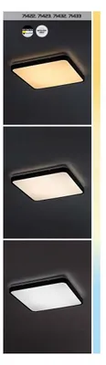 Image de Rabalux 71432 Panneau LED Alenzo LED 24 plastique plastique noir