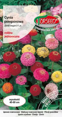 Produktbild von Pompon-Kürbis-Samen-Mischung 1g - Torseed