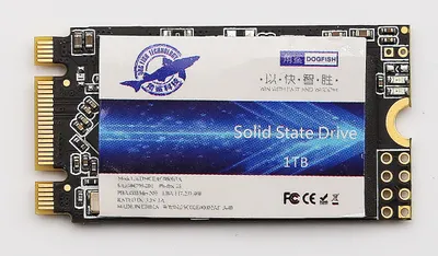 Zdjęcie produktu dla Wewnętrzny dysk SSD Dogfish M.2 2242 o pojemności 1 TB (M.2/B-M-Key; format 2242)