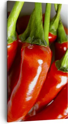 Produktbild von Bild auf Leinwand - Leinwandbild - Gemüse würzig Chili - 45x80cm - Wand Bild - Wanddeko - Wandbilder - Leinwanddruck - Bilder - Kunstdruck - Wanddekoration - Leinwand bilder - Wandkunst - PA45x80-1135