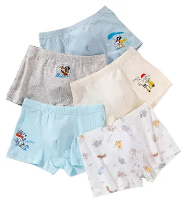 Produktbild von Little Hand Jungen Boxershorts für Babys, Unterwäsche, 5 Stück Boxer Briefs, Hun