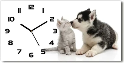Produktbild von Wanduhr aus Glas – 60x30 cm - Glasbild - Glasuhr - Gehärtetes Glas - schwarze-zeiger - Hund und Katze