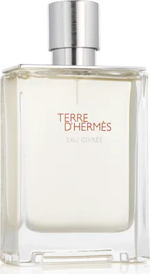 Immagine prodotto di Hermès Terre D'Hermès Eau Givrée EDP plnitelný 100 ml M