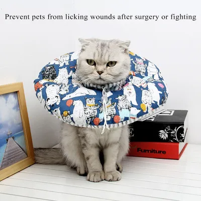 Image de Collier de protection pour animaux de compagnie, collier de protection pour chats, collier de sécurité pour animaux de compagnie, collier de guérison pour animaux de compagnie, collier de guérison pour chats, collier anti-morsure pour animaux de compagnie