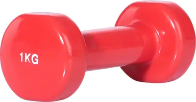Produktbild von Sport-Tec Fausthantel Gymnastikhantel Vinylhanteln Aerobic, Pilates, Workout, Muskel Training, Fitness Hanteln aus Vinyl