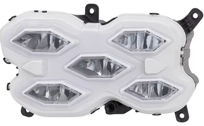 Immagine prodotto di DIEDERICHS 2218689 Faro antinebbia sinistro per VW GOLF VIII (CD1, DA1) 2020-
