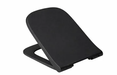 Obrázek produktu pro Toaletní sedátko Ramm vhodné pro Roca Gap Slim Softclose, černé