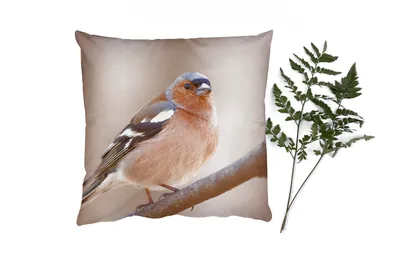 Produktbild von MuchoWow® Zierkissen Sofakissen Wohnzimmer Dekokissen 45x45 cm Vogel - Tiere - Fink - Schlafpolster - Polster für das Sofa
