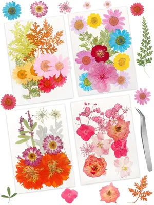 Productafbeelding van Omgoods - 48 Stuks Gedroogde Bloemen en Bladeren voor Knutselen