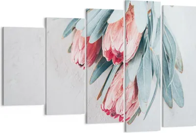 Produktbild von Bild auf Leinwand - Leinwandbild - 5 Teile - Blume Eukalyptus Australier - 150x100cm - Wand Bild - Wanddeko - Wandbilder - Leinwanddruck - Bilder - Wanddekoration - Leinwand bilder - EG150x100-5016