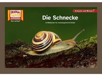 Image de Die Schnecke / Kamishibai Bildkarten