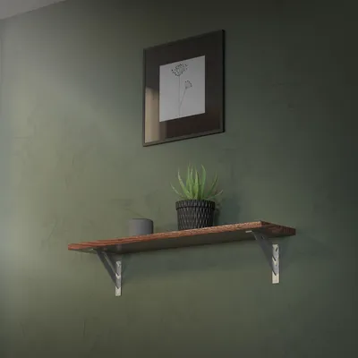 A shelf with a plant and a small speaker, mounted on a textured green wall.