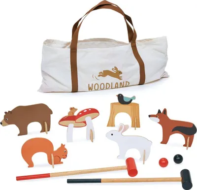 Obrázek produktu pro Tender Leaf Toys Woodland Indoor Croquet Set, Sada vybavení na kroket, 3 rok/roky, Dřevo, Vícebarevný, Dětský, 545 mm