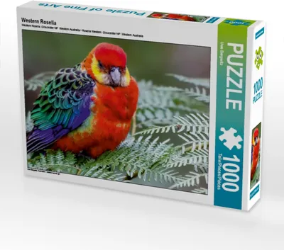 Produktbild von Calvendo Western Rosella 1000 Teile Puzzle quer 640x480mm, Bergwitz Uwe; 7398780