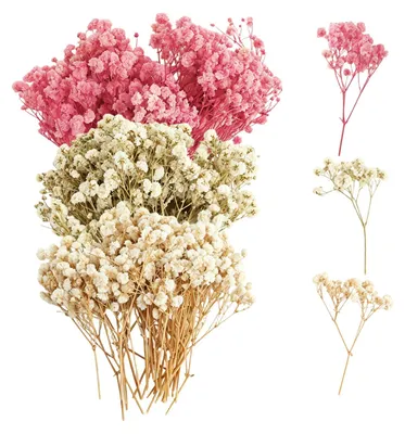 100 getrocknete Schleierkrautblüten, natürliche Trockenblumen für DIY