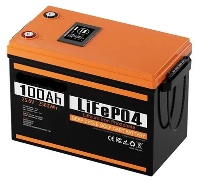 Image de Batterie lithium-ion 24V, 100Ah avec boîtier étanche IP67