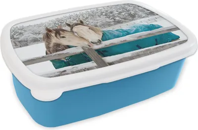 Produktbild von KitchenYeah® Lunchbox Brotzeit Brotdose 17x11 cm Pferde - Decke - Schnee Kinder Brotzeitdose - Lunch - Kunststoff  - Brotbüchse - Sandwichbox - Lunchbox für Kinder