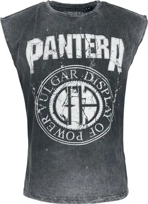 Produktbild von Pantera Tank-Top Herren Vintage Logo grau Band-Merch, Bands 100% Baumwolle L