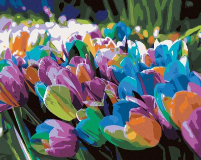 Produktbild von Zuty - Malen nach Zahlen - REGENBOGENTULPEN, 40x50 cm, ohne Keilrahmen
