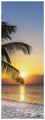 Produktbild von Wallario Duschmatte Antirutschmatte Badmatte Fußmatte Palme am Strand - Sonnenuntergang über dem Meer, Größe ca. 180 x 65 cm