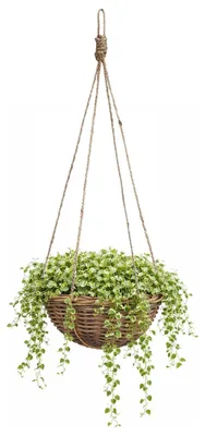 Produktbild von Hangekorb - D30 x H15 cm - geflochten - Hangepflanze - an Kette - Hangekorb