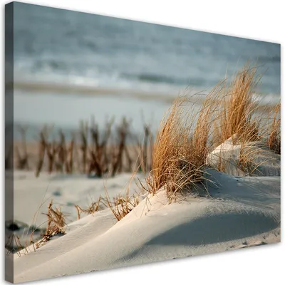 Image de Toile « Dunes au bord de la mer » 90 x 60 Feeby Beige Image pour le mur, prête à être accrochée