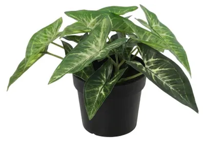 Obrázok produktu pre Umelá rastlina Syngonium, 15 cm, dekoratívna umelá rastlina do obývačky, kancelárie alebo kúpeľne