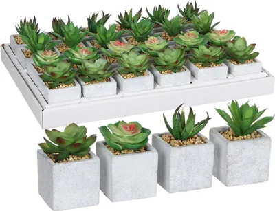 Zdjęcie produktu dla Mica sukulent w doniczce zielony 8 x 5 cm