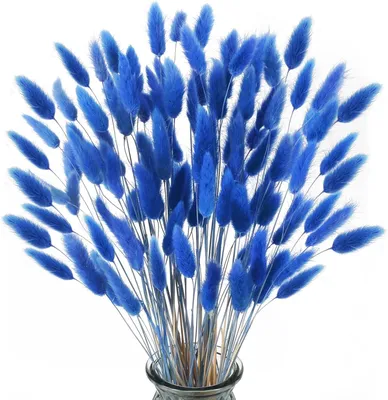 120 getrocknete Blumen, Pampasgras, Kaninchenschwanz, blau, 30-43 cm