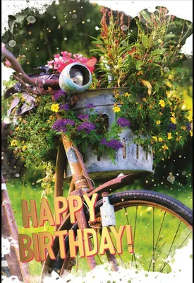 Produktbild von Geburtstag - Glückwunschkarte im Format 11,5 x 17 cm mit Umschlag
